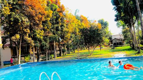 Sauraha Complejo | Chitwan Forest Resort , Chitwan National Park