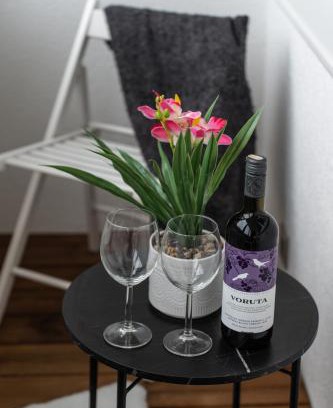Anyksciai Apartamento | City Center Apartment with balcony