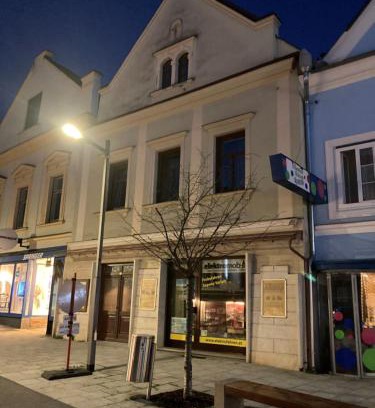 Muerzzuschlag Apartamento | City Center Mürz Apartment