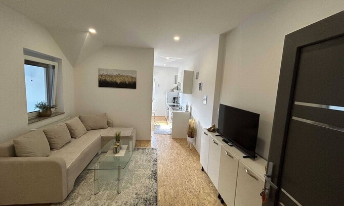 Siska District Apartamento | City Modern and Vibrant Apartments Ljubljana - Standard One Bedroom Apartment