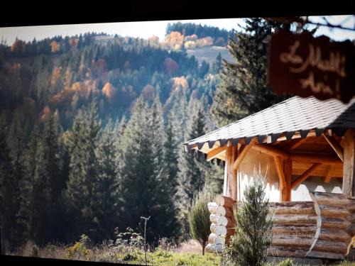 Ciumarna Casa | Ciumarna Holiday House