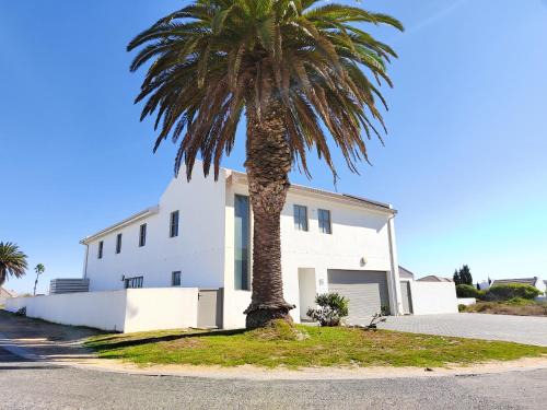 Shelley Point Casa | Clarke House