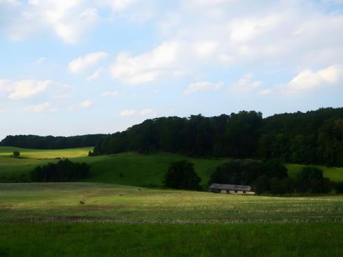 Wilhelmsthal Apartamento | Clausberg Ferienwohnungen