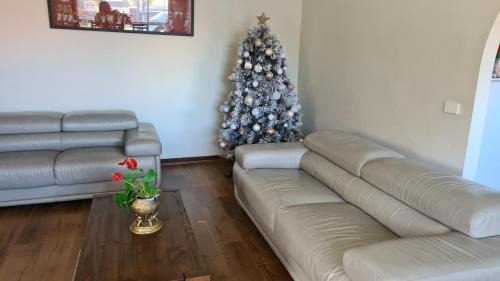 Clayton Casa | Clayton Living Town House at Monash Doorstep