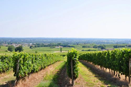Saint-Pierre-d'Aurillac Casa | CLOS SAINT SAUVEUR - guesthouse au coeur des vignes sur le coteau