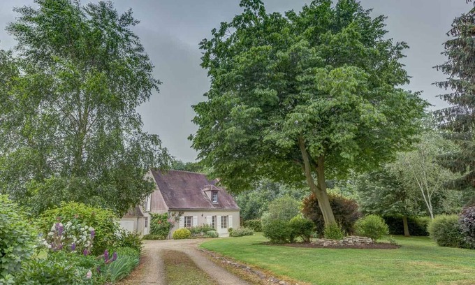 Rémy Casa | Cerca de París, ideal para recargar sus baterías. Impresionante vista del bosque de Compiègne