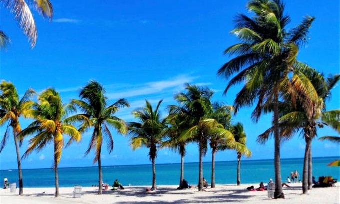 Key Biscayne Apartamento | Close to the Beach spacious One Bedroom with Pool