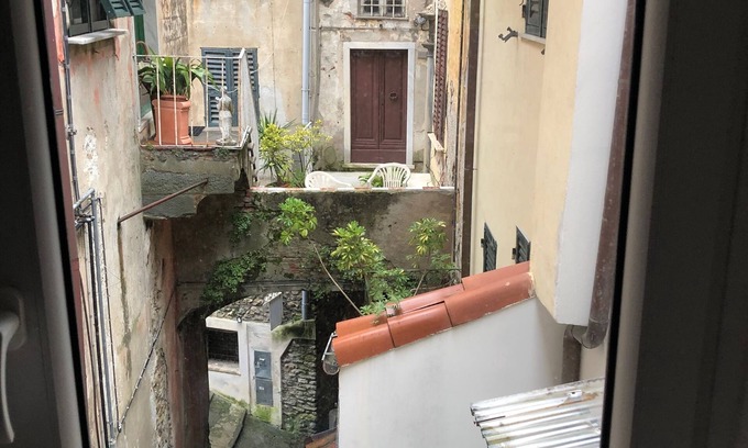 Arcola Casa | Coazy Typical Studio