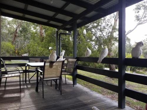 Halls Gap Casa | Cockatoo Cabin