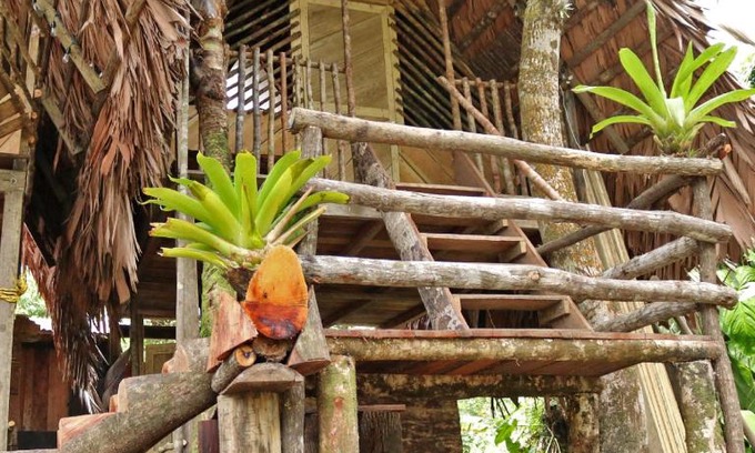 Uramba National Park Apartamento | Coco House