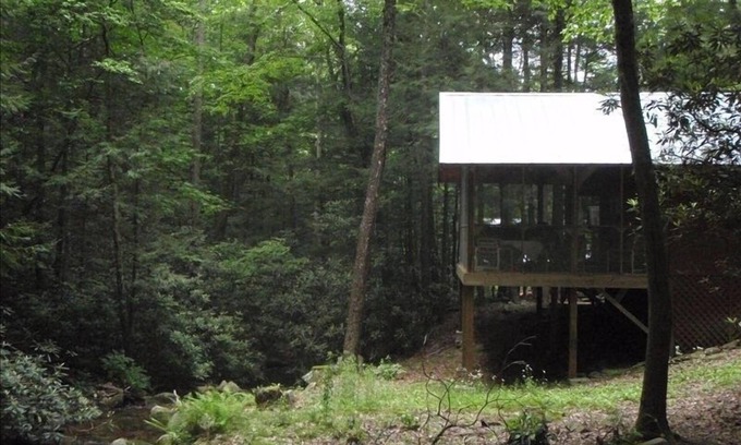 Tellico Plains Cabina | Coker Creek Creekside Bungalow