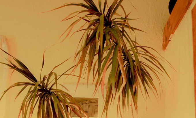Taos Casa | Comfortable home in historic acequia neighborhood
