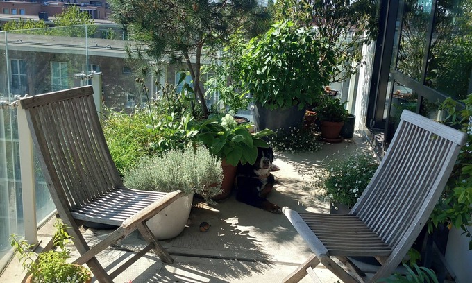 Bos en Lommer Apartamento | Comfortable & stylish family apartment in Amsterdam West. Pet friendly!