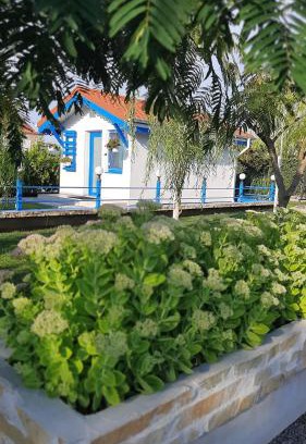 Murighiol Casa | Complex Turistic Essenza