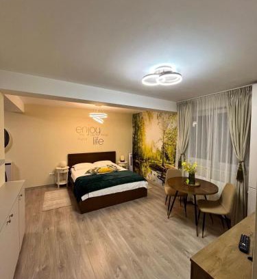 Alba Iulia Apartamento | Confort Studio