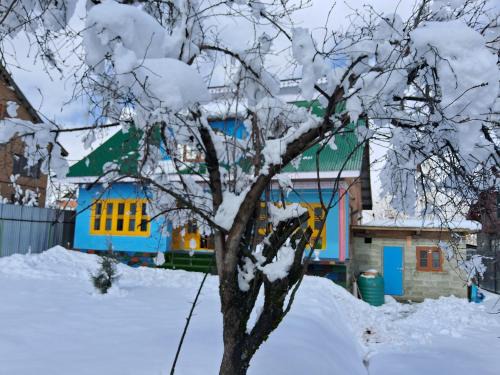 Srinagar Casa | Conifer view guest house
