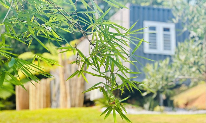 San Sebastian Apartamento | Container home next to a beautiful river (CASA VAGON ISLA BENDITA)