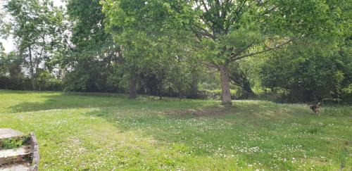 Villentrois Casa | Cookie Gite 6/7 personnes proche Zoo Beauval