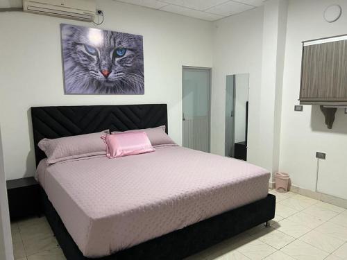 Arauca Casa | COOL HOUSE 24Horas