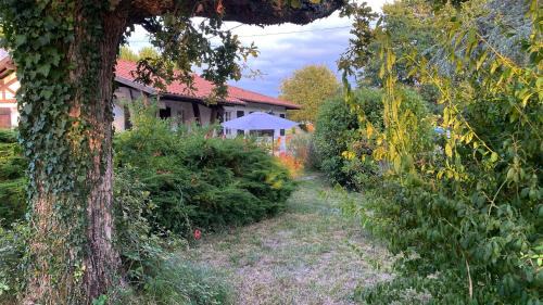 Sainte-Eulalie-en-Born Casa | Cool Landes