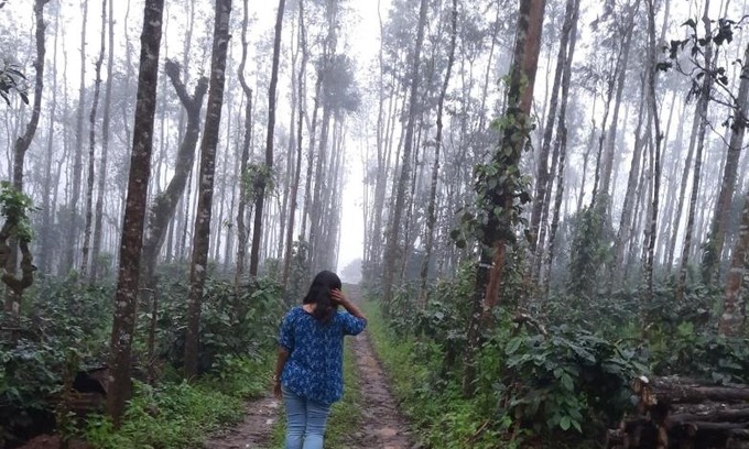 Virarajendrapet Casa | Coorg Happy Estate Stay