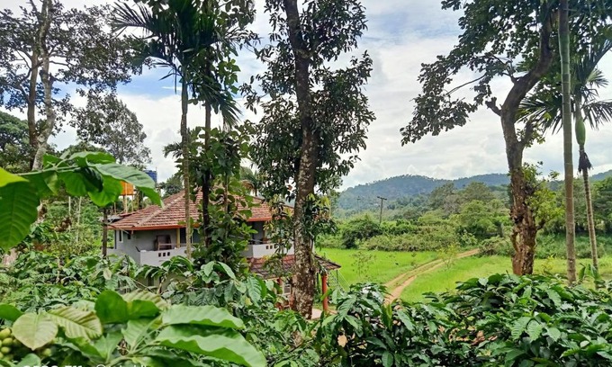 Madikeri Casa | coorg homes estate stay