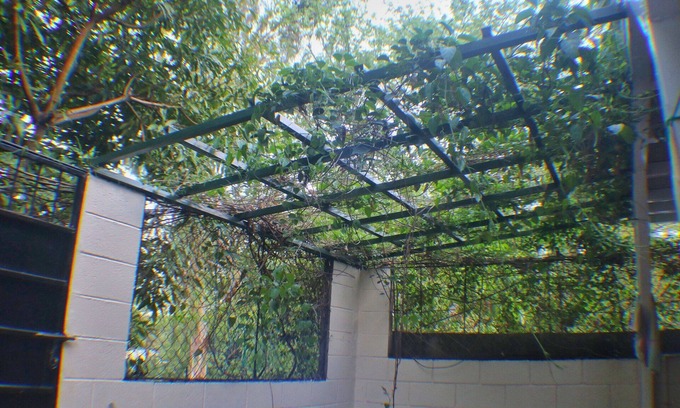 San Salvador Casa | Copinol 68