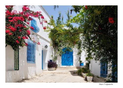 Sidi Bou Said Apartamento | Coquette studio au village