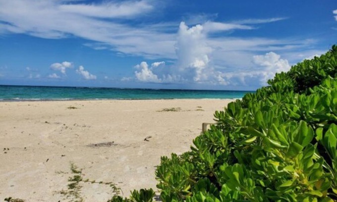 Silver Sands Casa | Coral Turtle
