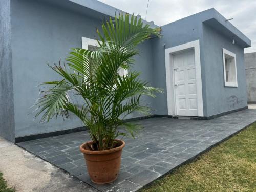 Aimogasta Apartamento | Cordon del Velazco