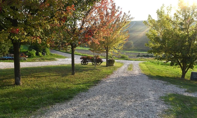 Castiglione Tinella Otro | Corner of Paradise among the vineyards
