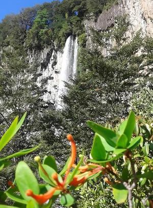 Curarrehue Chalet De Esquí | Corral del Agua