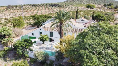 Cabra Casa | Cortijo Don Simón