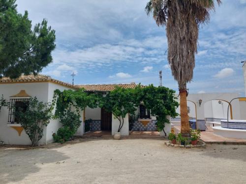 Puerto de Bejar Casa | Cortijo Las Cruces Guillena - Sevilla