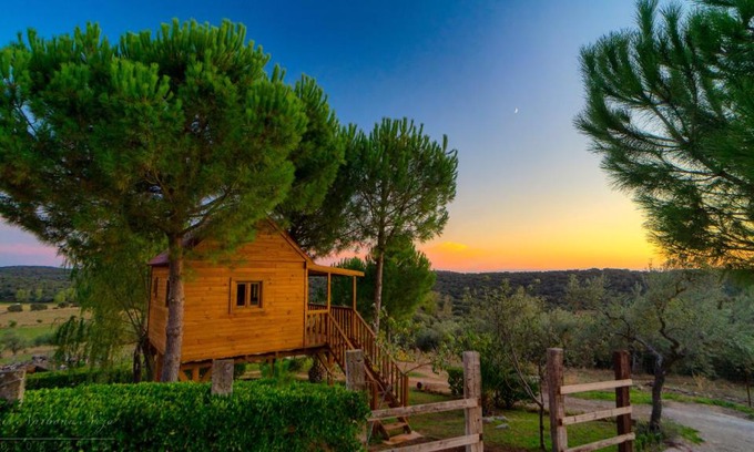 Alanis Casa | Cortijo señora de las Angustias 2