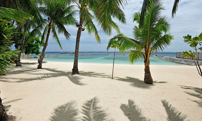 Maribago Complejo | Costabella Tropical Beach Hotel