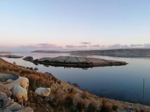 Ardara Casa | Cosy 2 Bedroom Cottage