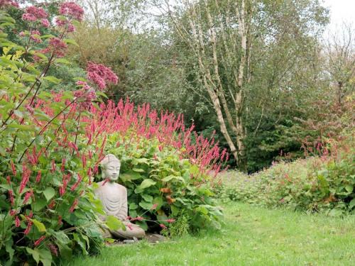 Fishguard Apartamento | Cosy bijou retreat