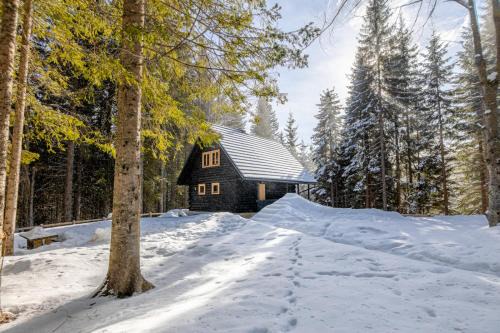 Goreljek Chalet De Esquí | Cosy Lodge Pokljuka