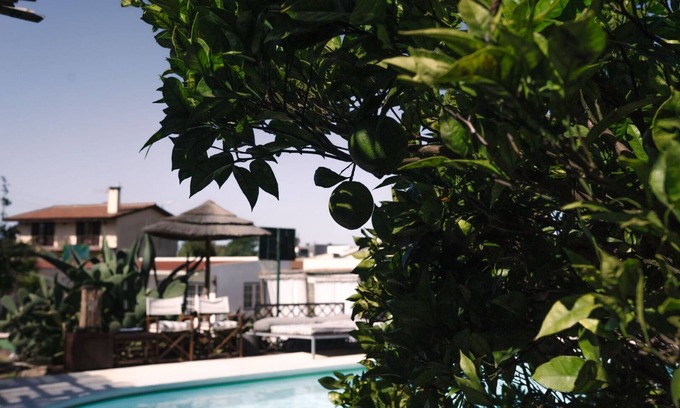 Assafora Apartamento | Cosy Mosey (1 bedroom + bathroom and outdoor cooking)