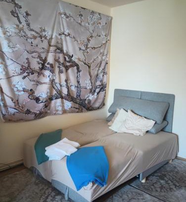 Satu Mare Apartamento | Cosy Nest on Floor 4 of 4