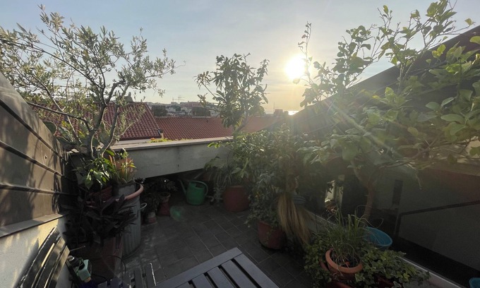 San Giovanni-Chiadino-Rozzol Cama Y Desayuno | cosy room with sea view terrace in an architect's house