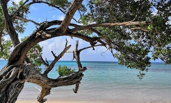 Saint-Francois Apartamento | COTE PLAGE LE BALAOU