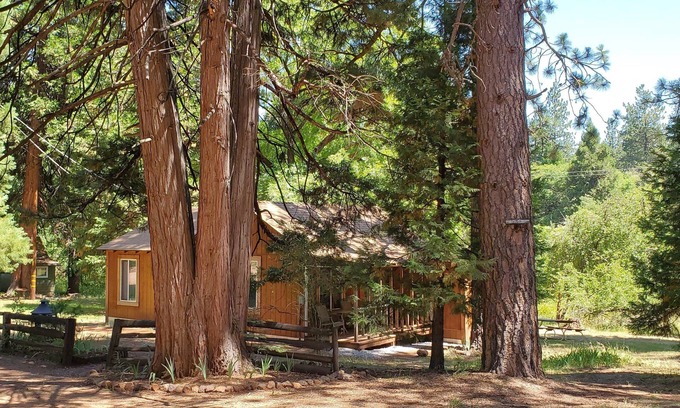 Shingletown Cabaña | Cottage #2 with a Lake and Creek, 15 mi to Lassen NP