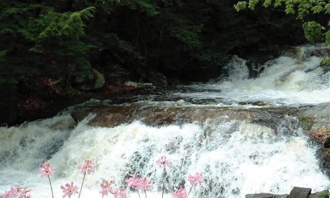 Wilton Cabaña | Cottage beside a waterfall