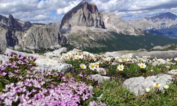 Cortina d'Ampezzo Chalet De Esquí | Cottage in the woods in the Dolomites.