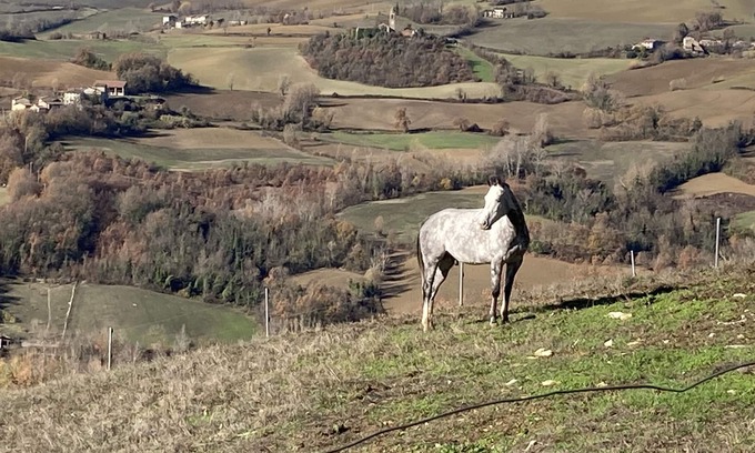 Piozzano Cabaña | C'era una volta......