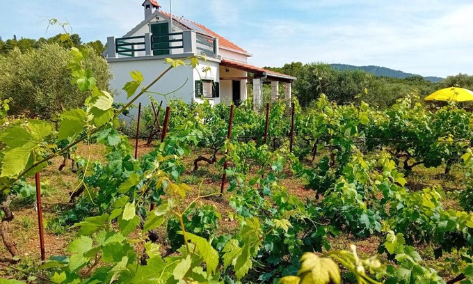 Vela Luka Casa | Cottage the Quiet