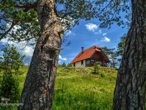 Zlatibor Casa | Cottage Vodice