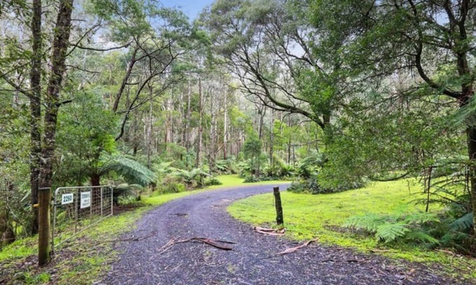 Icy Creek Cabaña | Cottage with best views